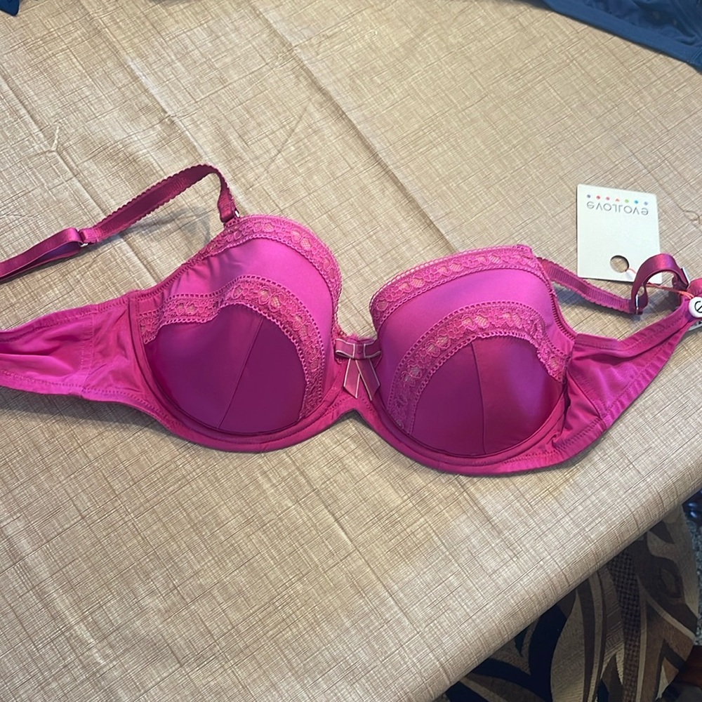 NWT Hot Pink Bra 38C